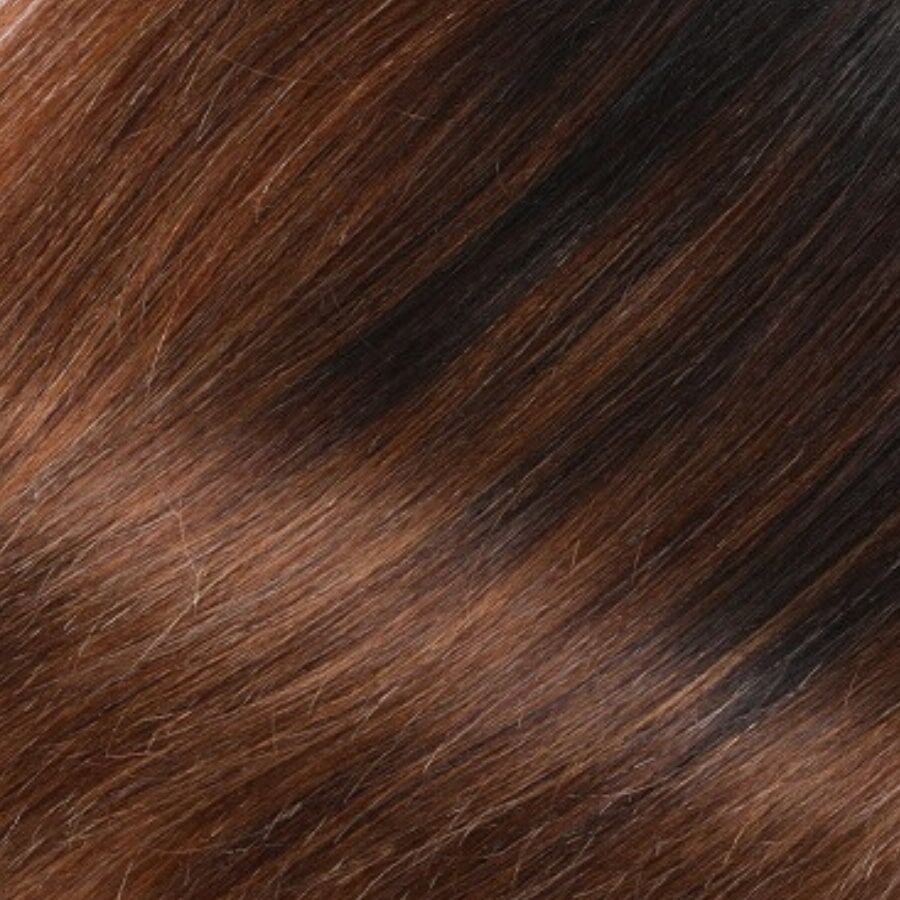 Ombre chestnut brown