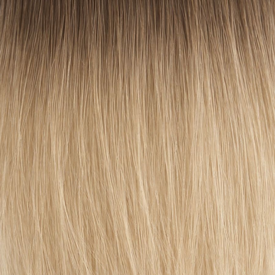 Rooted Dark Blonde to Beige Blonde #06T9A