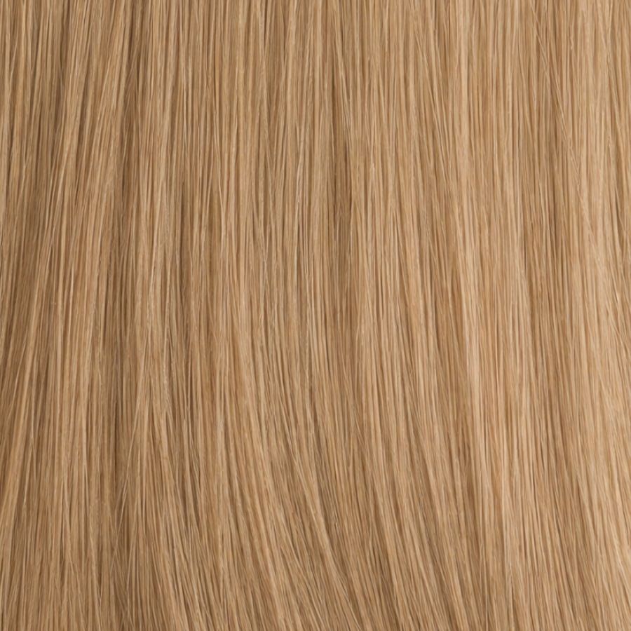 Cool Beige Blonde #10C