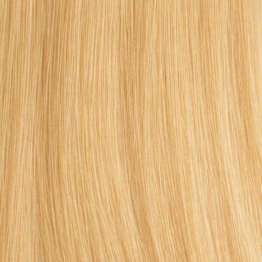 Light Ash Blonde #22