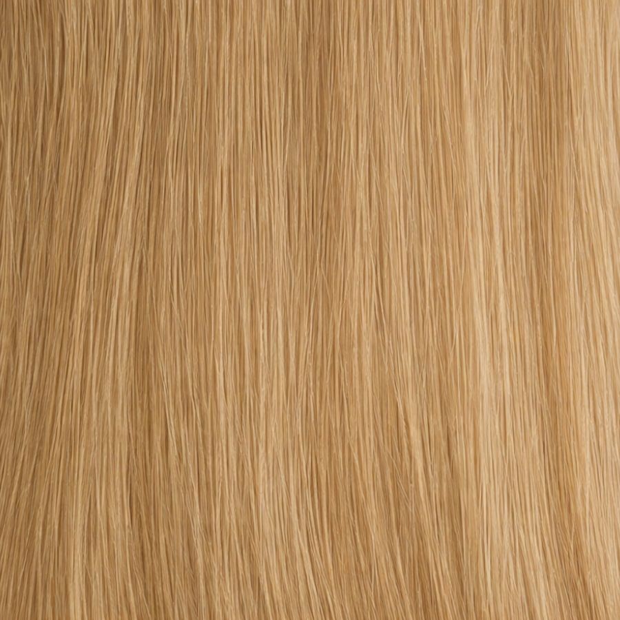 Neutral Dark Blonde #9
